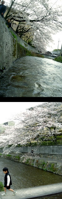 200645.jpg