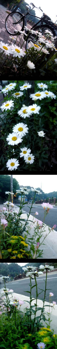 2006612.jpg