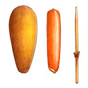 “アメリカンドッグ（Corn Dog）” Parts