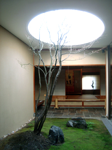 20080116c.jpg