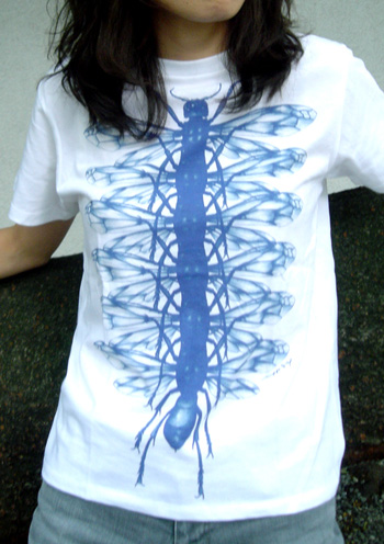 20080709b.jpg