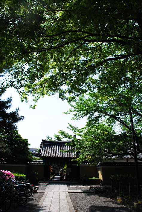 20090502a.jpg